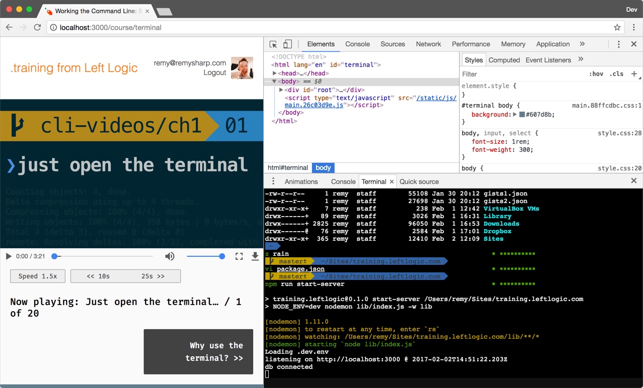 Terminal in the browser